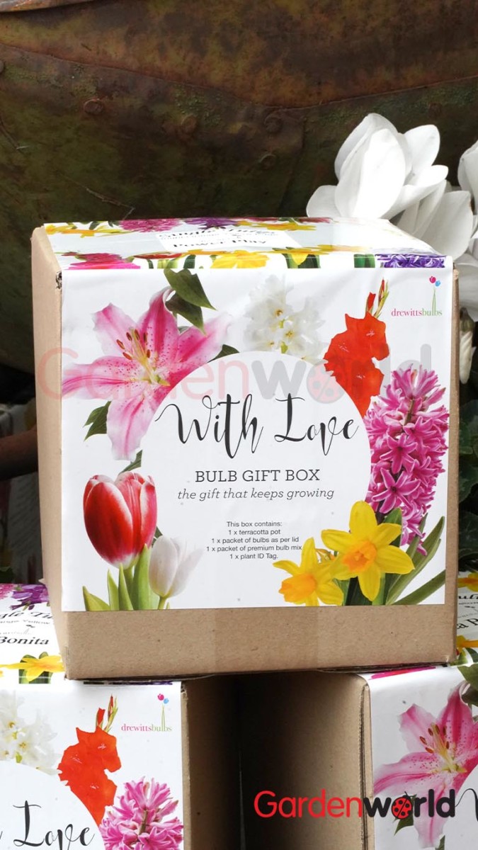 Bulb Gift Box - Affordable Mothers Day Gifts - Garden World